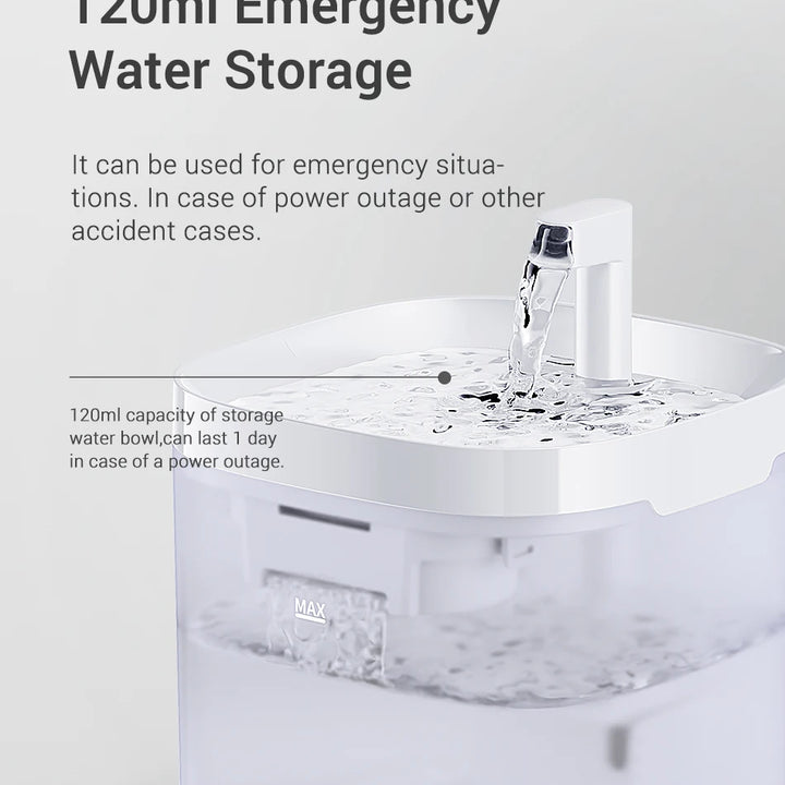 Lily Waterfontein voor Huisdieren