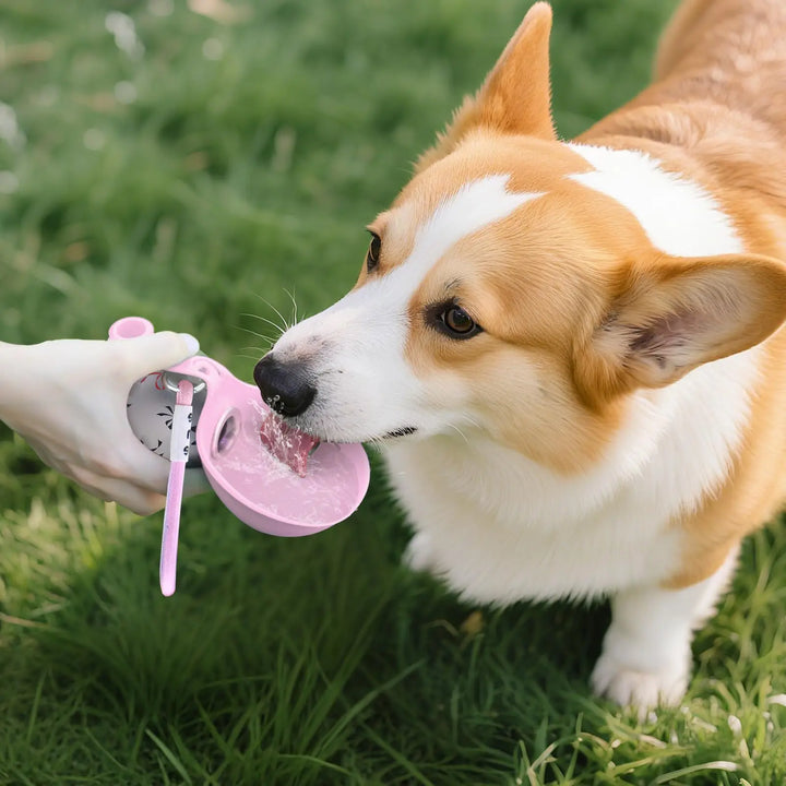 Portable Dog Water Bottle – Clean Water Anywhere